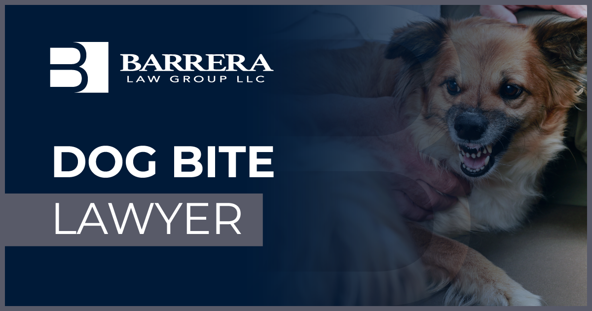 Houston Dog Bite Lawyer